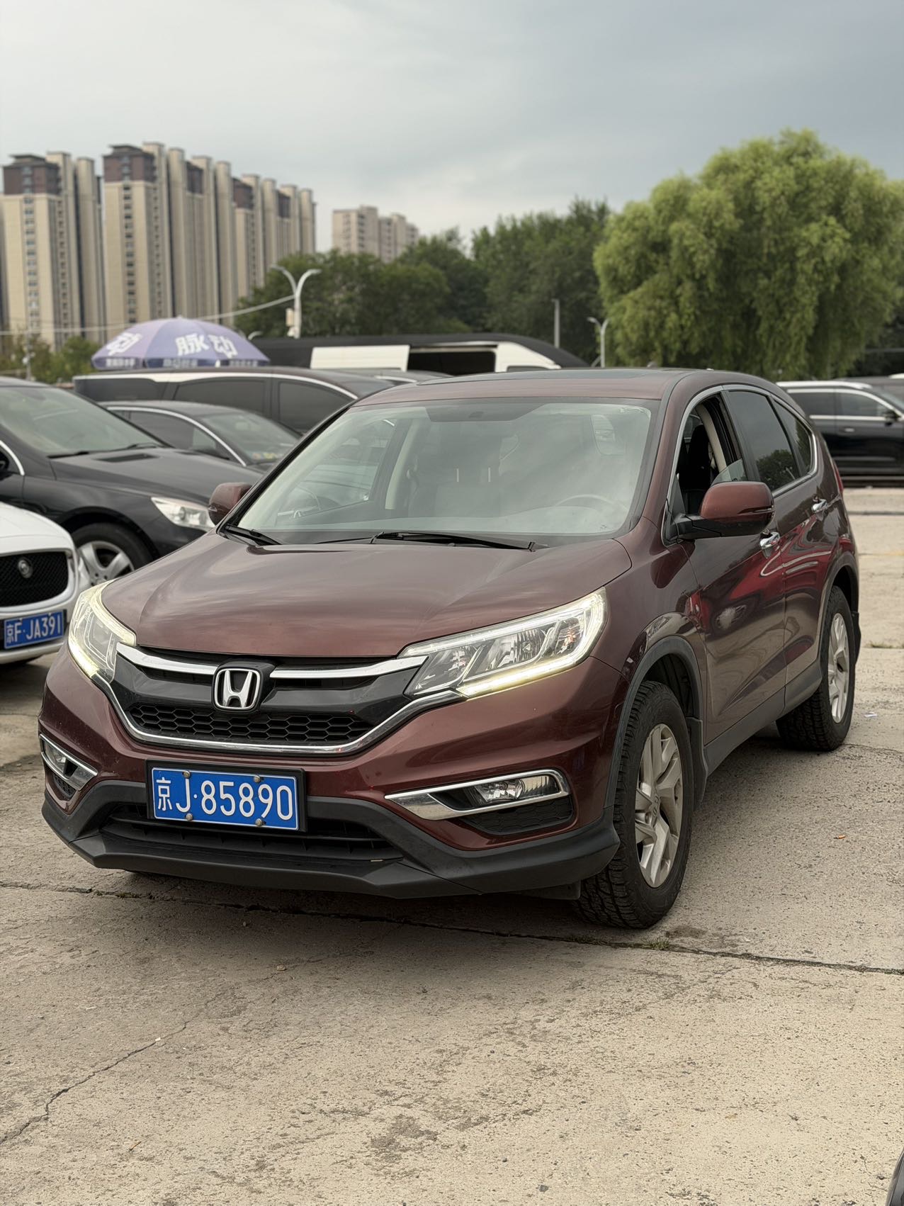 Honda CR-V 2016 Honda CR-V 2016 car image