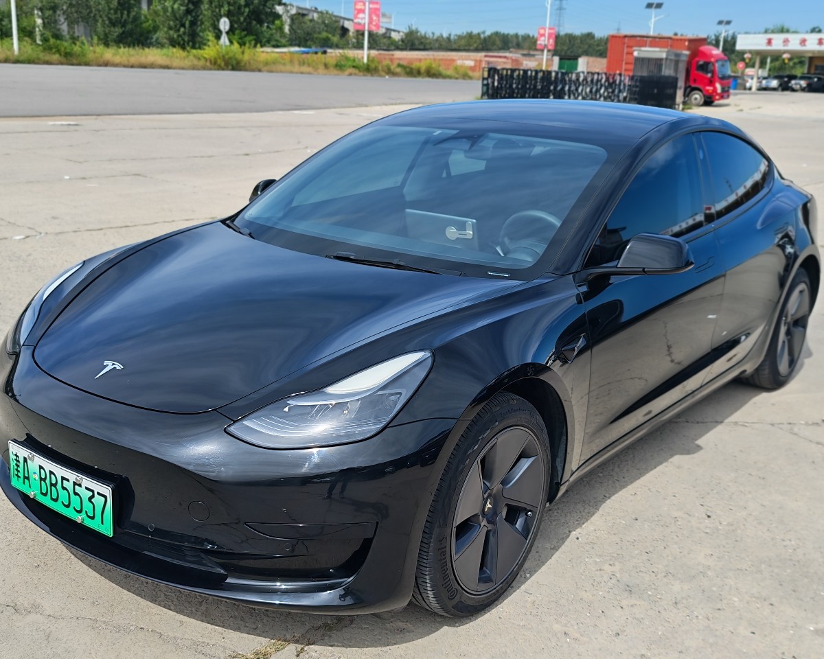 Tesla Model 3 2022 Tesla Model 3 2022 car image