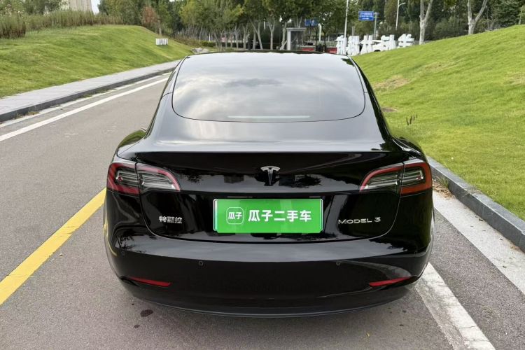 Tesla Model 3 2021 #6 Tesla Model 3 2021 car image #6