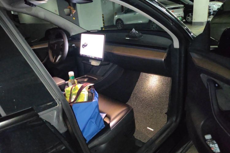 Tesla Model Y 2021 #21 Tesla Model Y 2021 car image #21