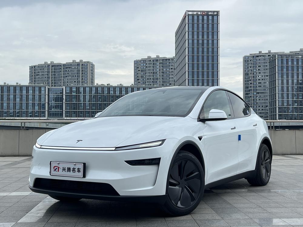 Tesla Model Y Tesla Model Y car image