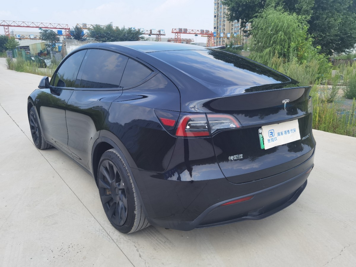 Tesla Model Y 2022 car image #6