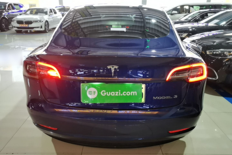 Tesla Model 3 2020 car image #6