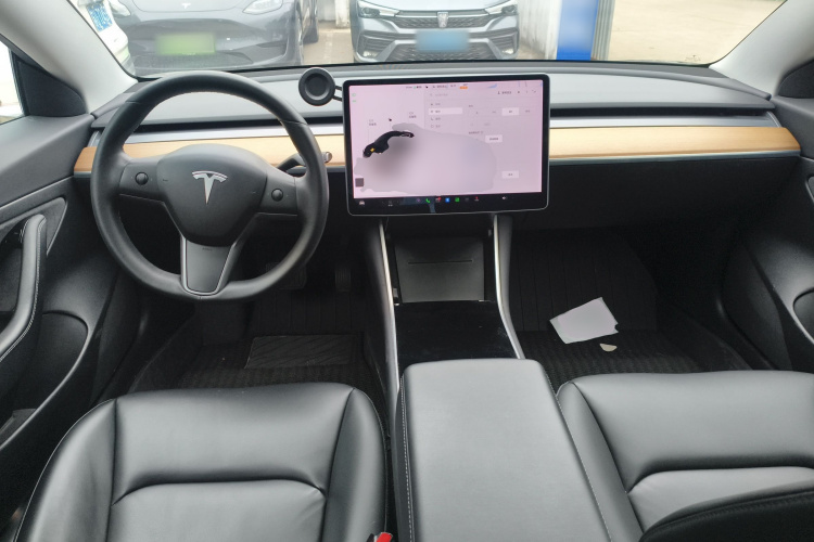 Tesla Model 3 2020 car image #10