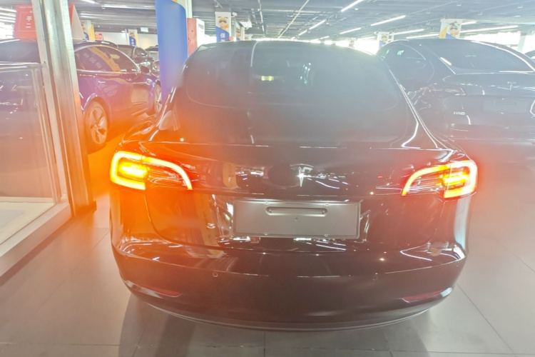 Tesla Model 3 2023 car image #6