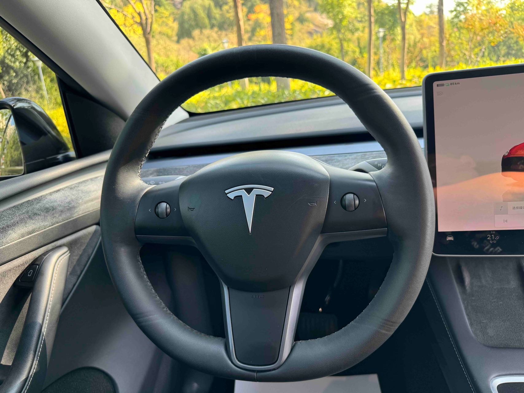 Tesla Model Y 2023 #9 Tesla Model Y 2023 car image #9