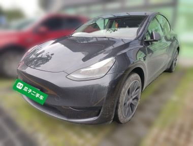 Tesla Model Y 2024 car image 