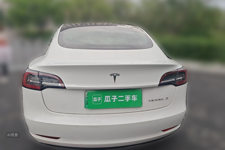 Tesla Model 3 2020 car image #6