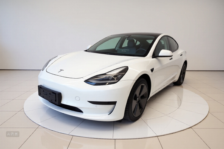 Tesla Model 3 2021 #2 Tesla Model 3 2021 car image #2