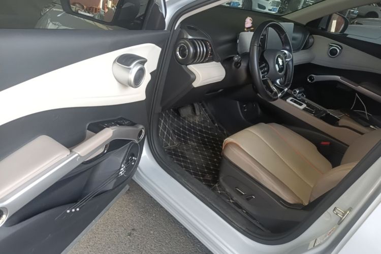 BYD Yuan Plus 2024 car image #18