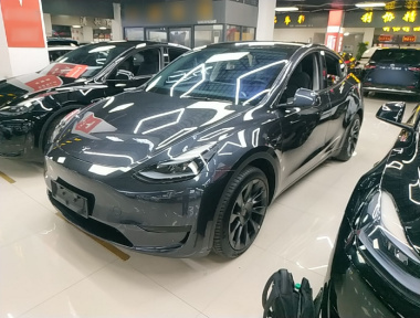 Tesla Model Y 2024 Tesla Model Y 2024 car image