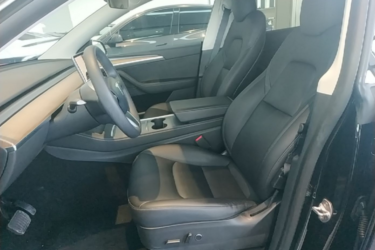 Tesla Model Y 2021 car image #15