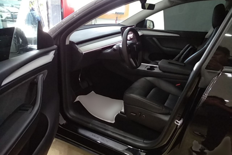 Tesla Model Y 2024 car image #12