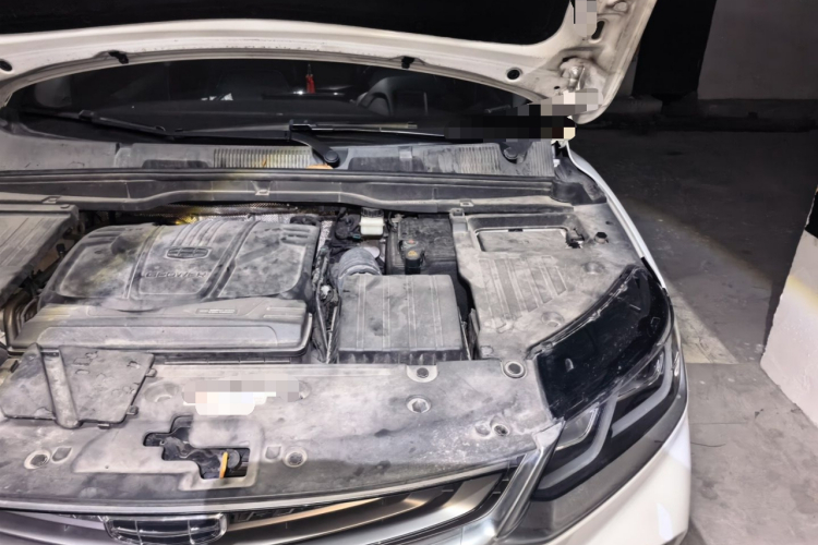 GEELY Coolray 2019 immagine di auto #23
