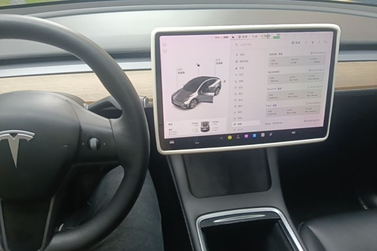 Tesla Model Y 2021 #11 Tesla Model Y 2021 car image #11