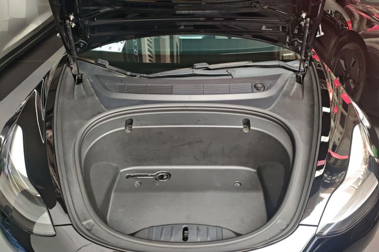 Tesla Model 3 2020 #20 Tesla Model 3 2020 car image #20