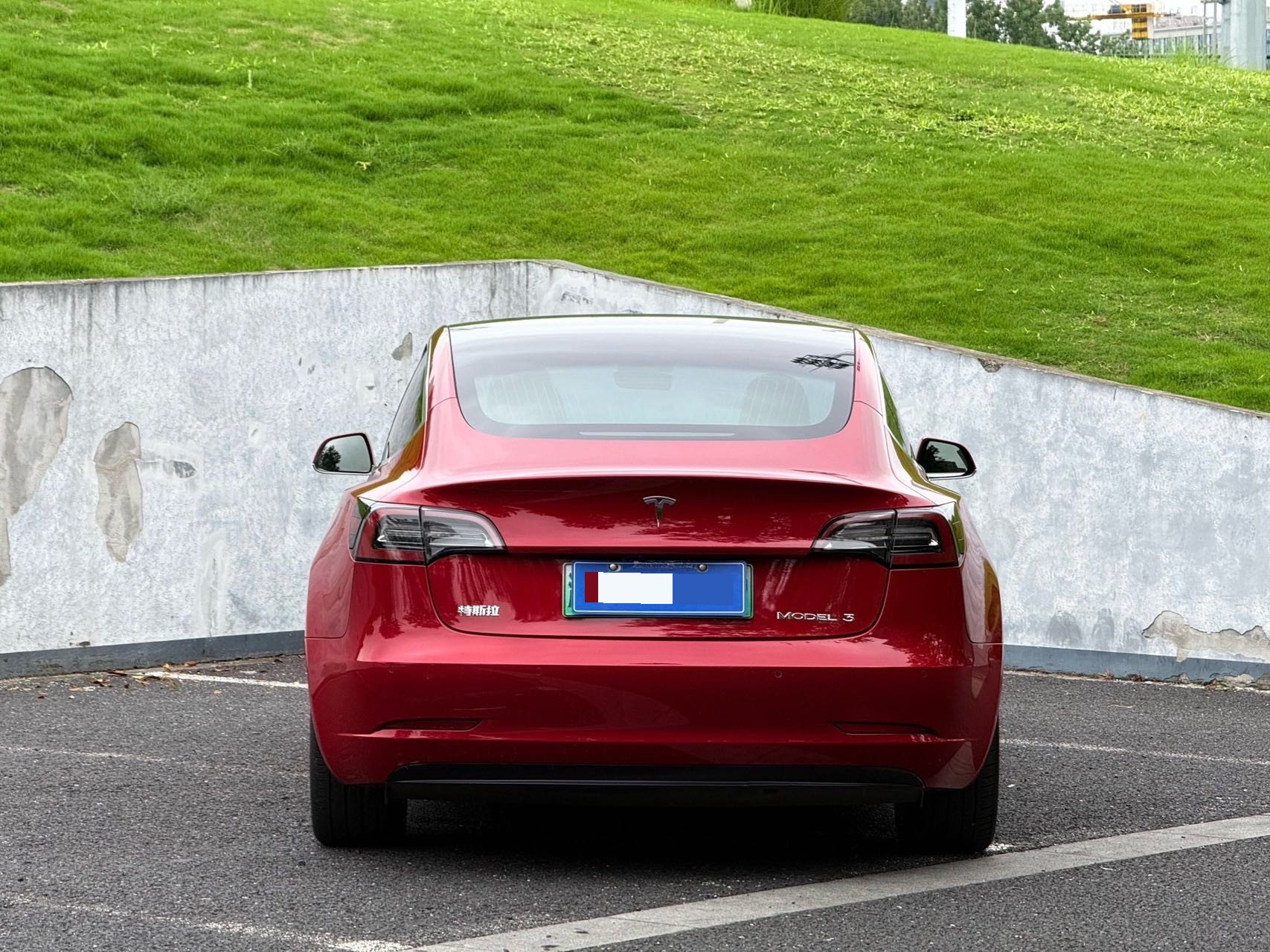 Tesla Model 3 2020 car image #9