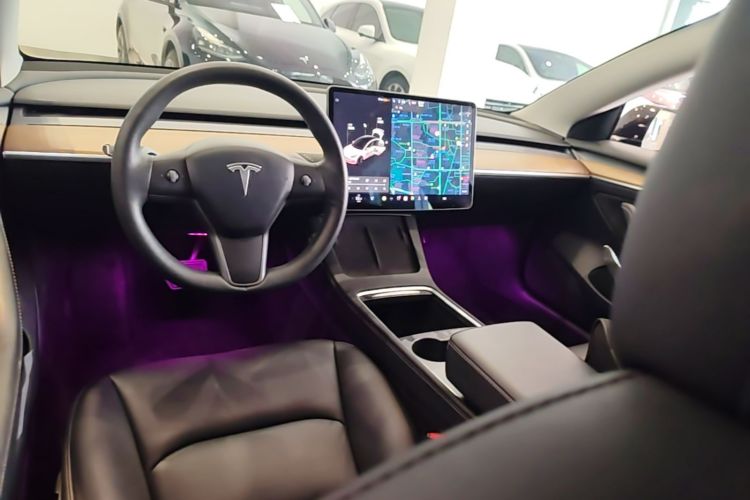 Tesla Model 3 2021 #10 Tesla Model 3 2021 car image #10