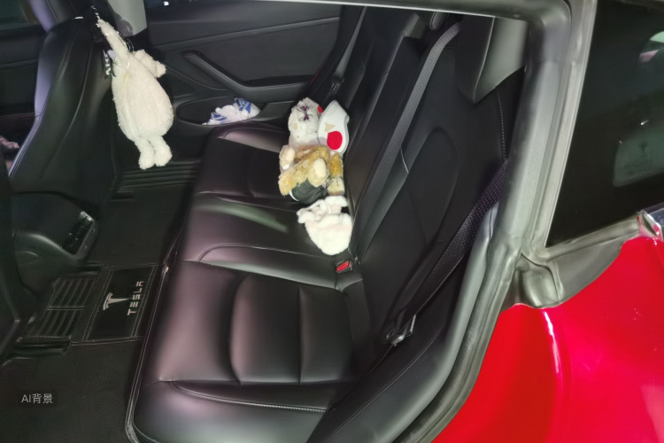 Tesla Model 3 2020 car image #19