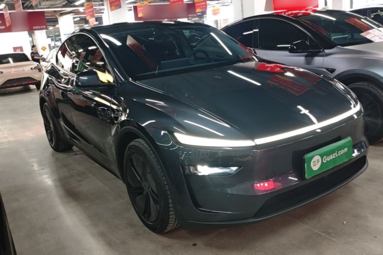 Tesla Model Y 2025 car image #4