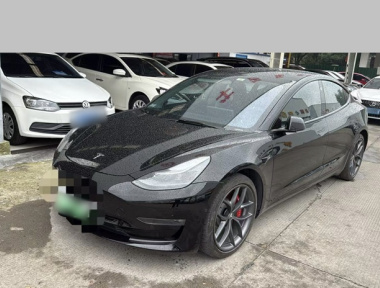 Tesla Model 3 2021 Tesla Model 3 2021 car image
