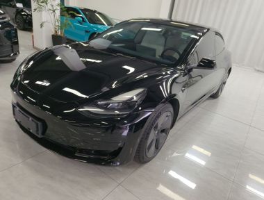 Tesla Model 3 2021 Tesla Model 3 2021 car image