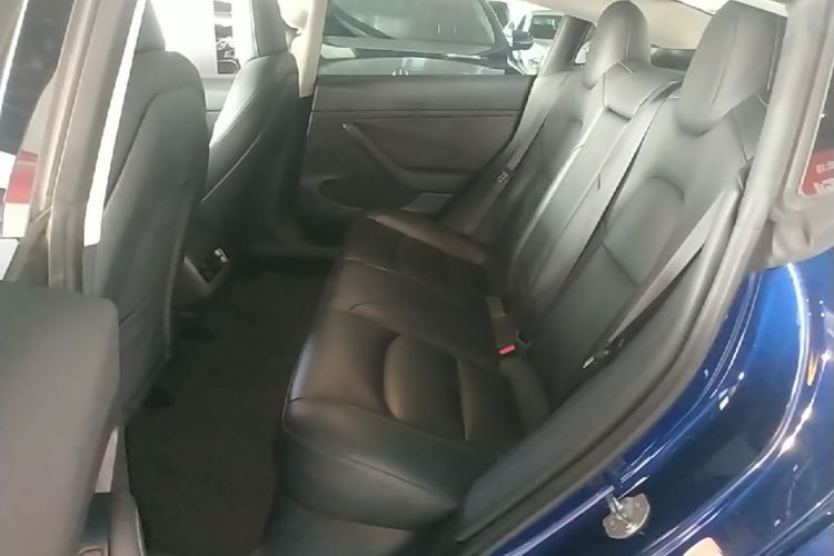 Tesla Model 3 2021 car image #17