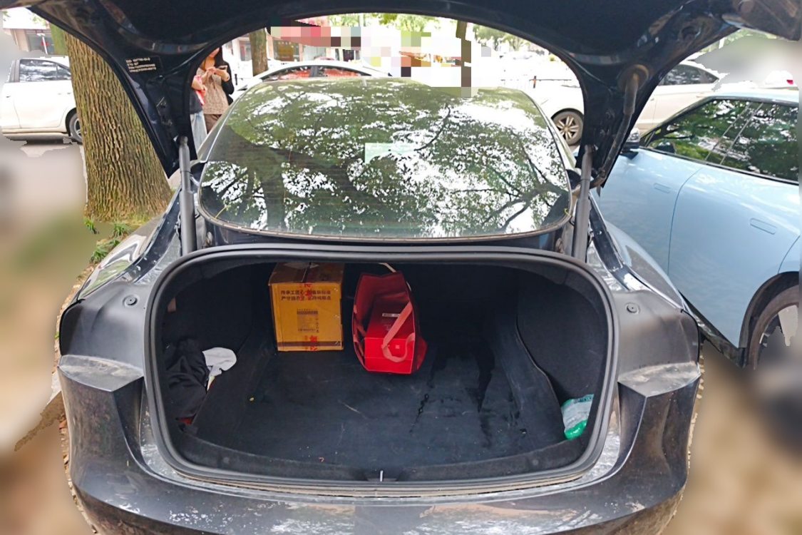 Tesla Model 3 2025 #8 Tesla Model 3 2025 immagine di auto #8