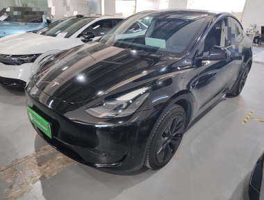 Tesla Model Y 2023 car image 