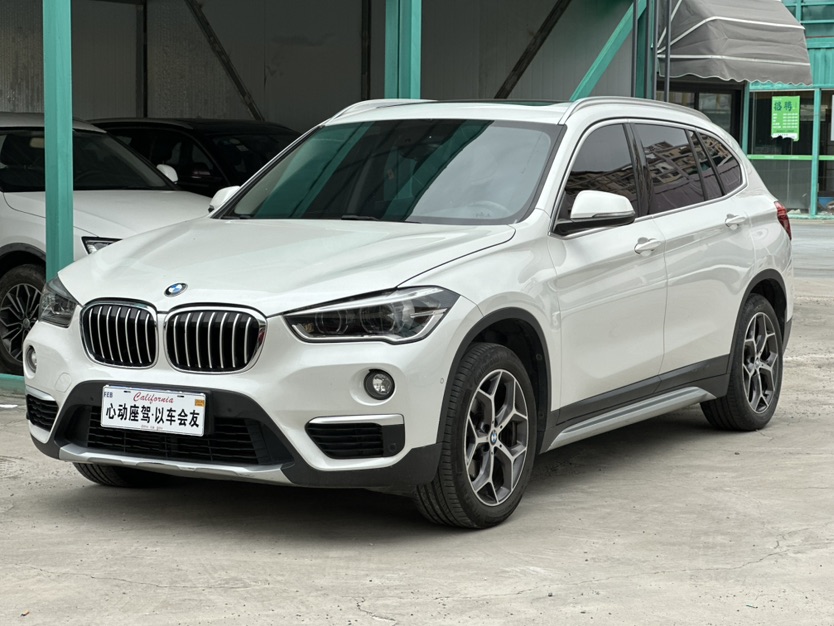 BMW X1 2019 immagine di auto 