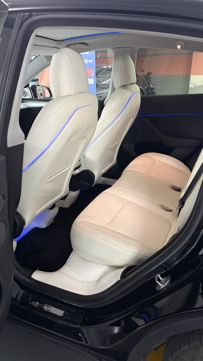 Tesla Model Y 2023 #6 Tesla Model Y 2023 car image #6