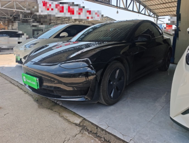 Tesla Model 3 2022 Tesla Model 3 2022 immagine di auto