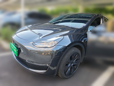 Tesla Model Y 2024 Tesla Model Y 2024 car image