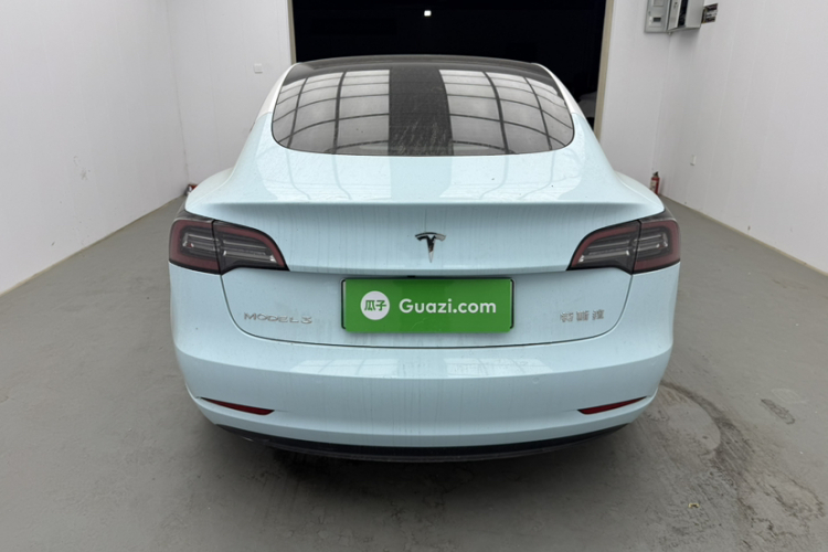 Tesla Model 3 2021 #7 Tesla Model 3 2021 car image #7