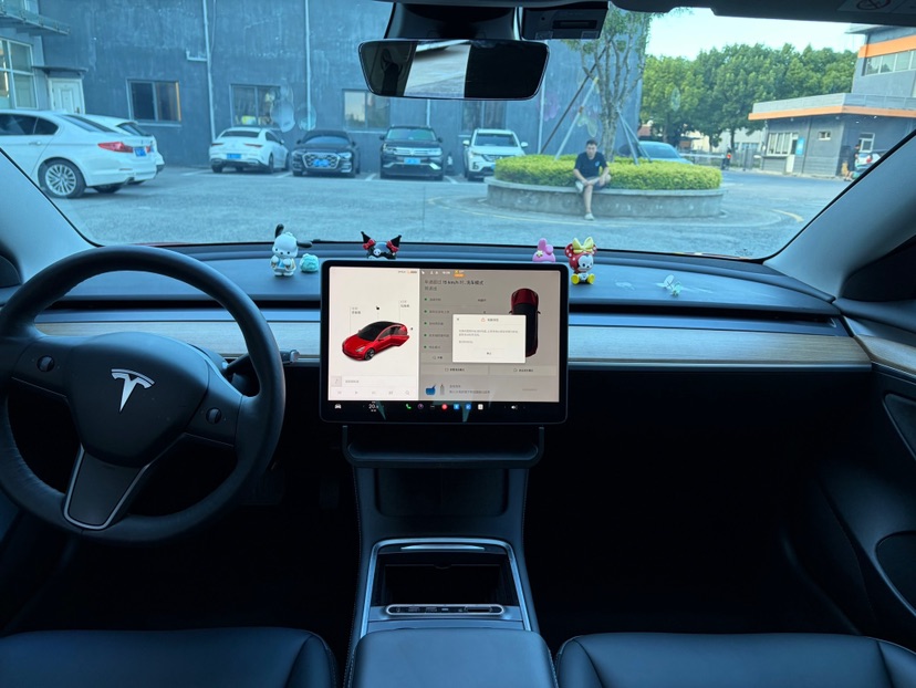 Tesla Model 3 2021 car image #9