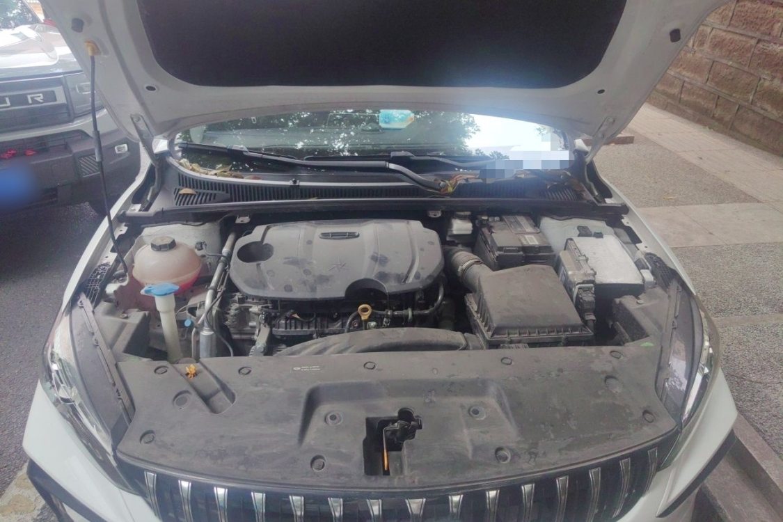 GEELY Binray 2024 car image #10