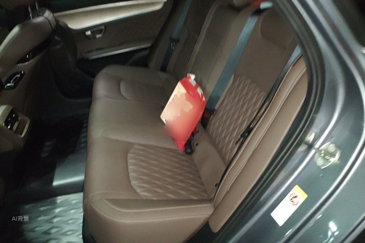 BYD Han 2023 صورة سيارة #19