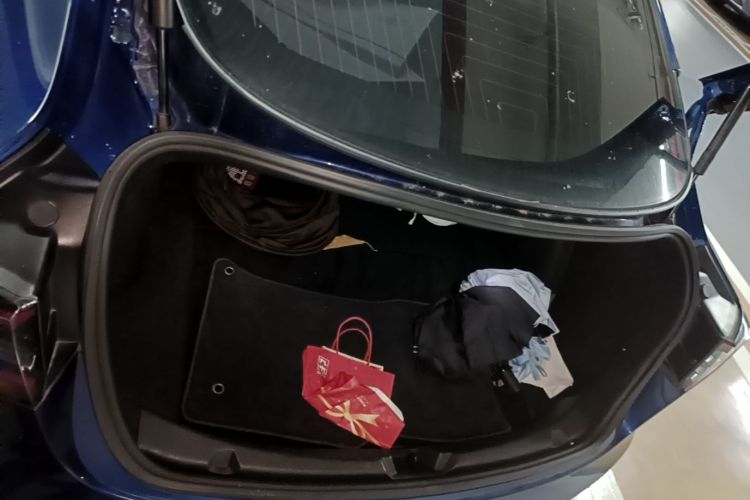 Tesla Model 3 2020 car image #19