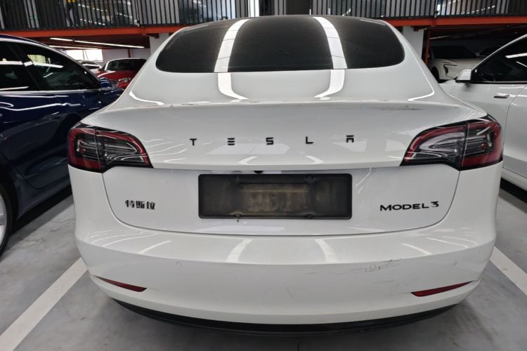 Tesla Model 3 2021 #6 Tesla Model 3 2021 car image #6