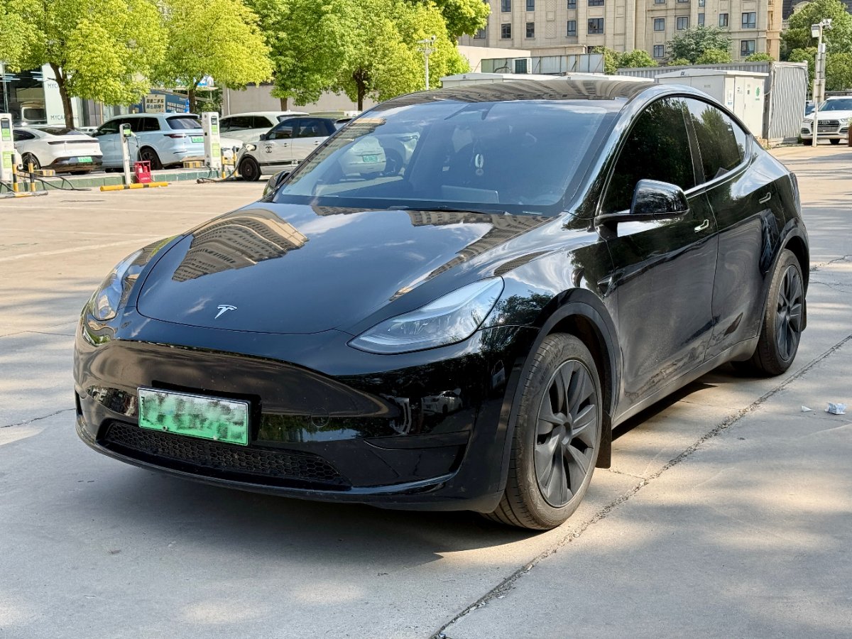 Tesla Model Y 2024 Tesla Model Y 2024 صورة سيارة
