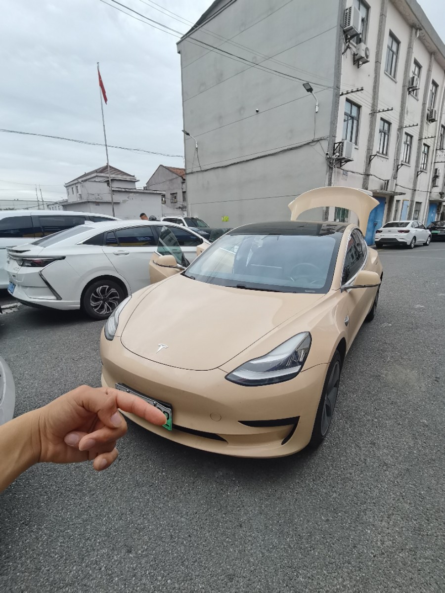 Tesla Model 3 2020 car image 