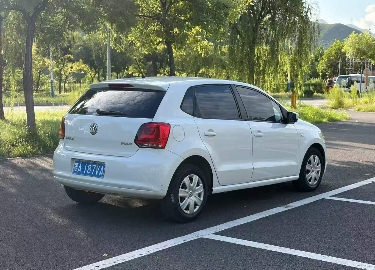 Volkswagen Polo 2013 car image #6