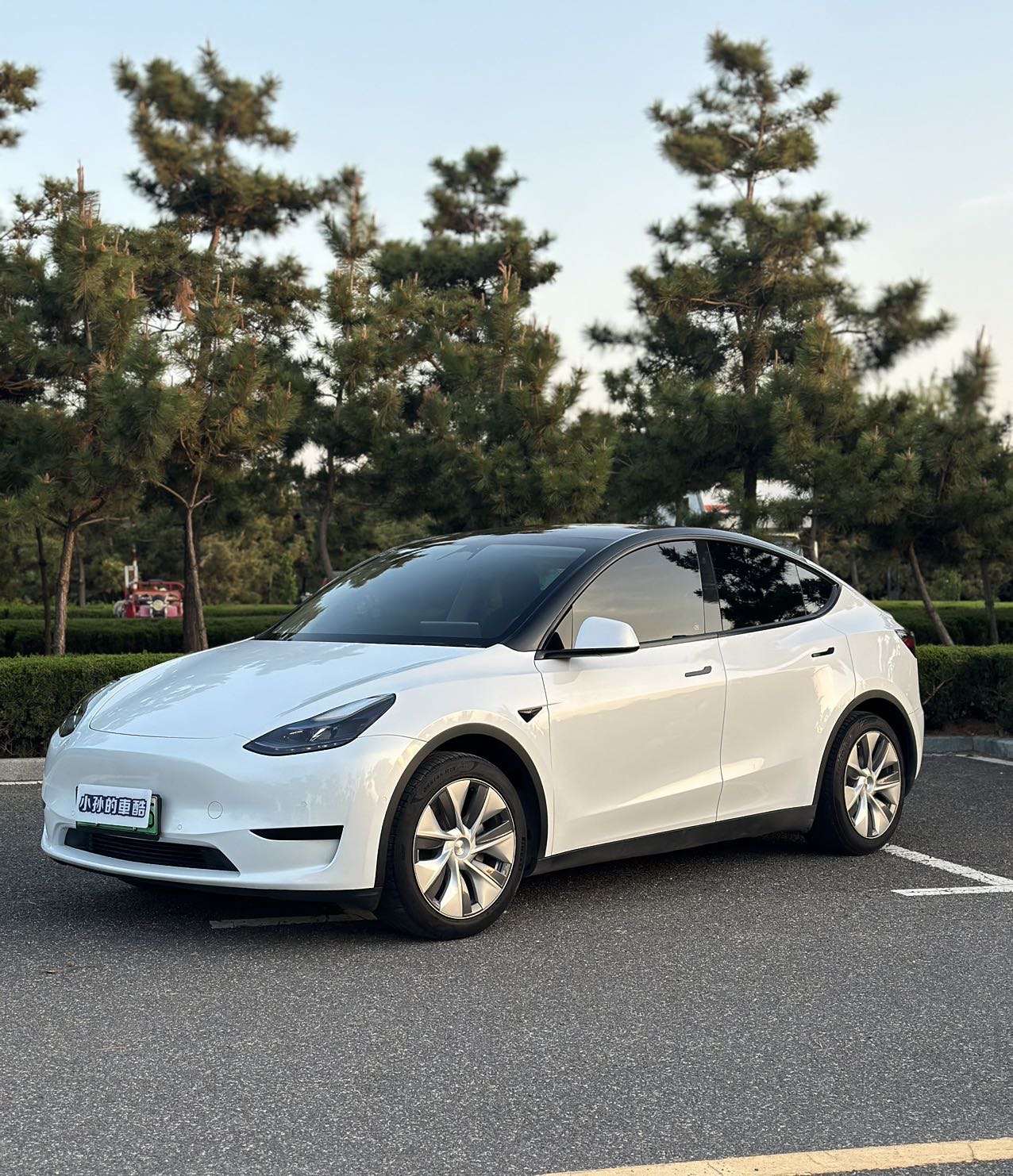 Tesla Model Y 2022 car image 