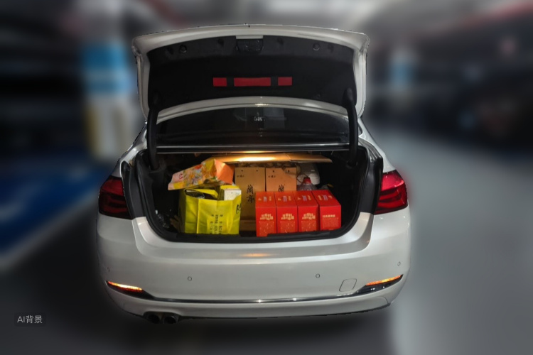 BMW 3 Series 2017 immagine di auto #21