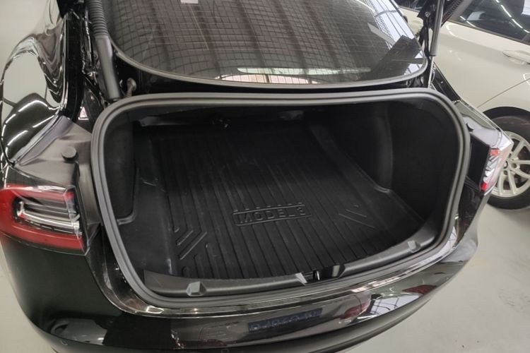 Tesla Model 3 2021 immagine di auto #19