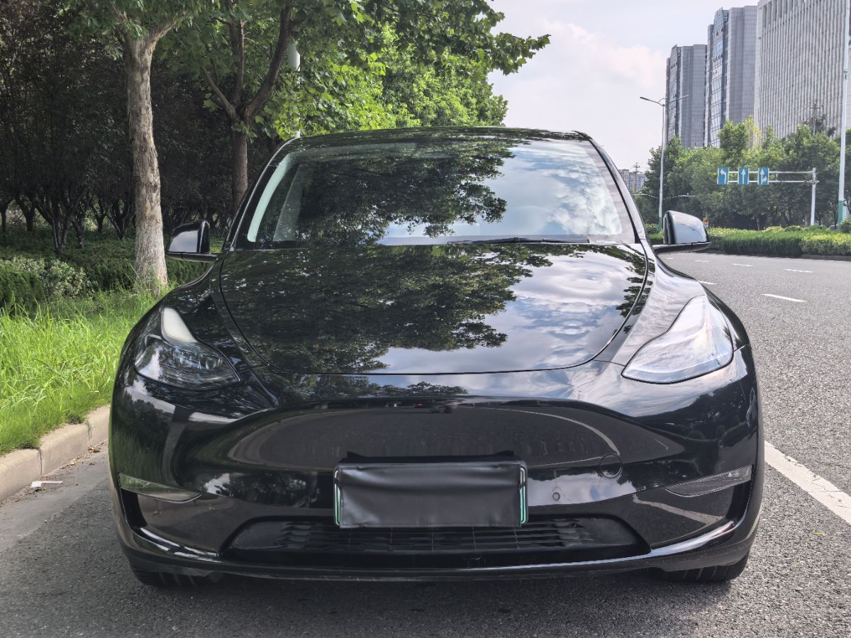 Tesla Model Y 2021 #2 Tesla Model Y 2021 car image #2