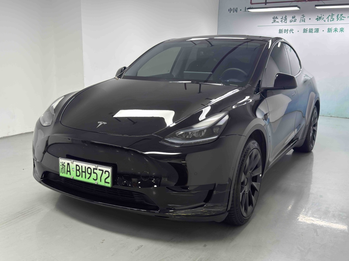 Tesla Model Y 1969 car image 