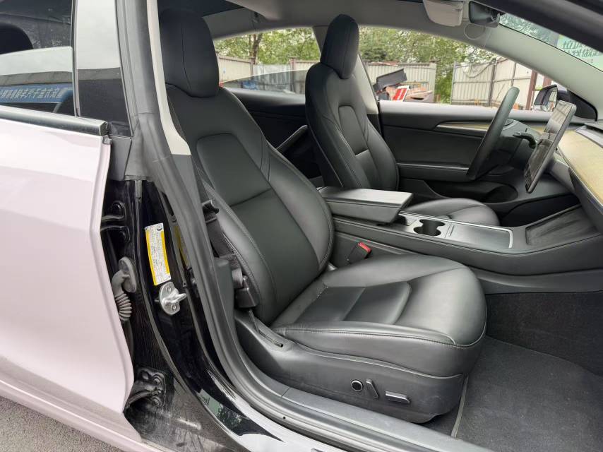 Tesla Model 3 2021 imagem de carro #8