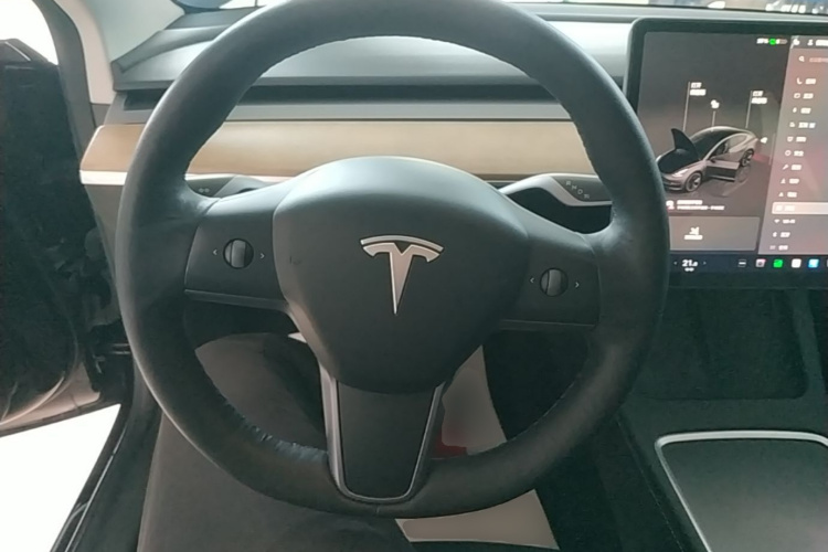 Tesla Model 3 2022 #11 Tesla Model 3 2022 car image #11