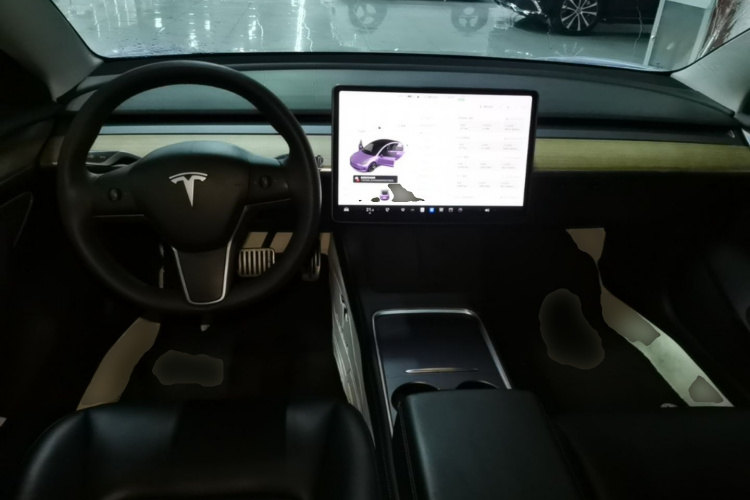 Tesla Model 3 2021 immagine di auto #10